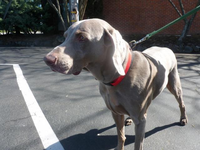 Duncan Standing 2